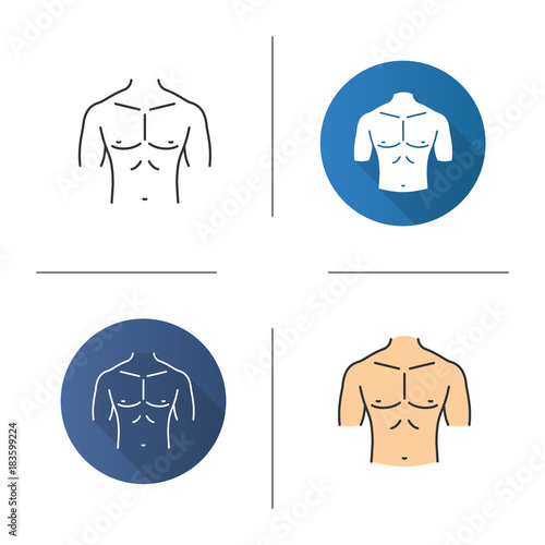 Muscular male chest icon