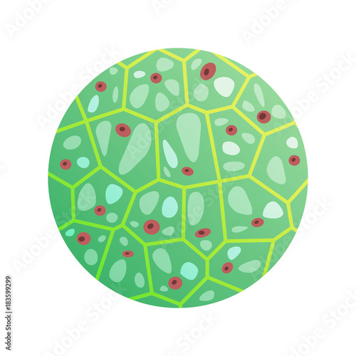 Round Green Cell with Microorganisms Vector Icon