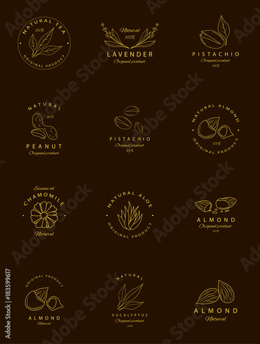 Vector set of golden packaging design templates and emblems. Argan, aloe, peanut, almond, eucalyptus, tea, chamomile and pistachio . Logos in trendy linear style