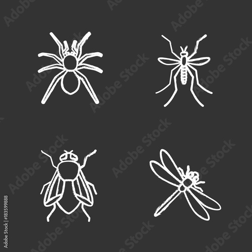 Insects chalk icons set