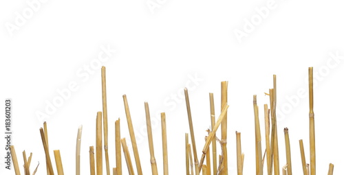 Straw pile isolated on white background, clipping path