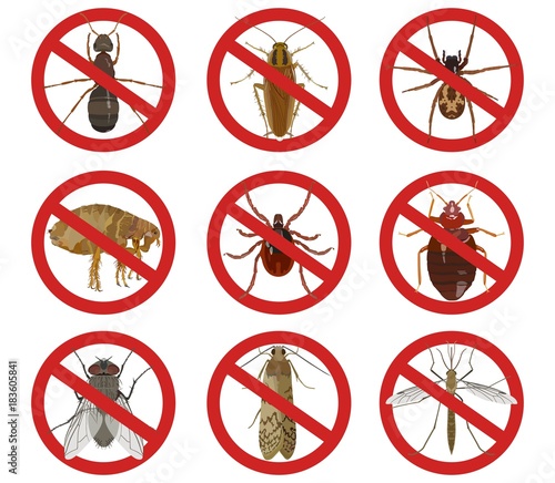 Collection of red warning signs about harmful insects. Vector illustration