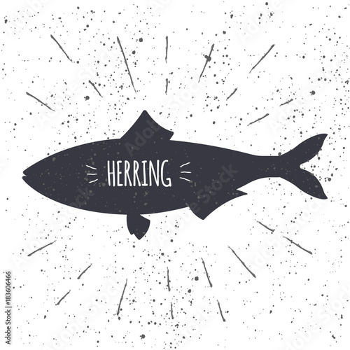 Hand drawn herring icon fish in black and white color with textured background. Design element for emblem, menu, logo, label, sign, brand mark - vector illustration