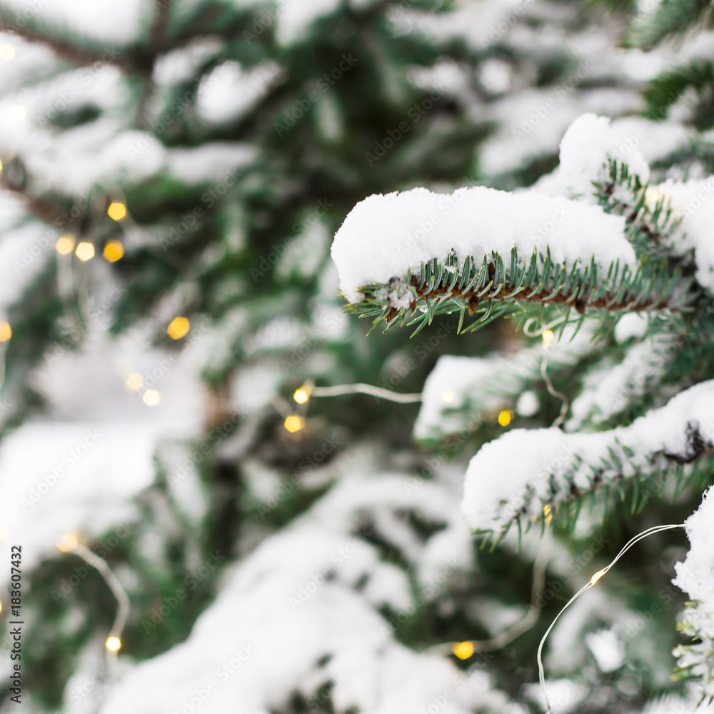 The snow-covered tree in the forest is decorated with lights. Winter concept