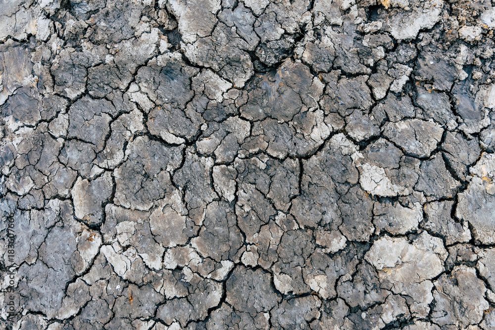 Crack soil texture background. Crack soil texture background.