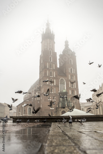 St Mary's Basilica, Kraków in the fog with many pigeons 