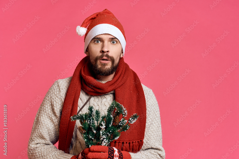pink background, free space for copy, man with artificial branches of Christmas tree in hands pink background, free space for copy, man with artificial branches of Christmas tree in hands