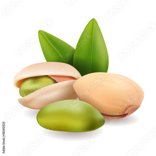 Pistachio nuts with leaves. Vector illustration realistic pistachio kernels