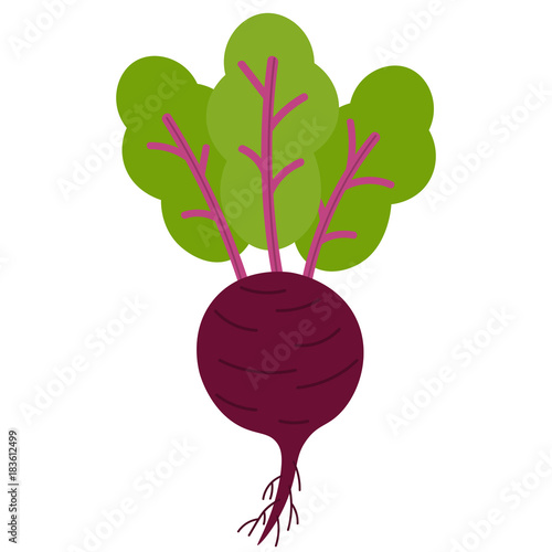 Red beet with leaves and roots isolated on white background. Flat icon. Vector illustration.