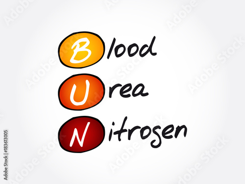BUN - Blood Urea Nitrogen acronym, concept background