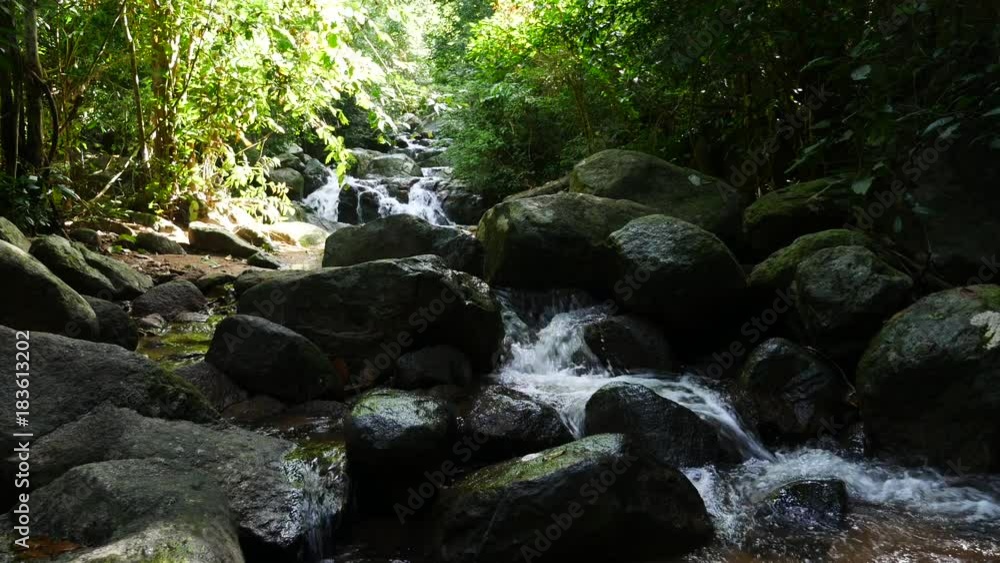 Streams, waterfalls, mountains, nature, trees Streams, waterfalls, mountains, nature, trees