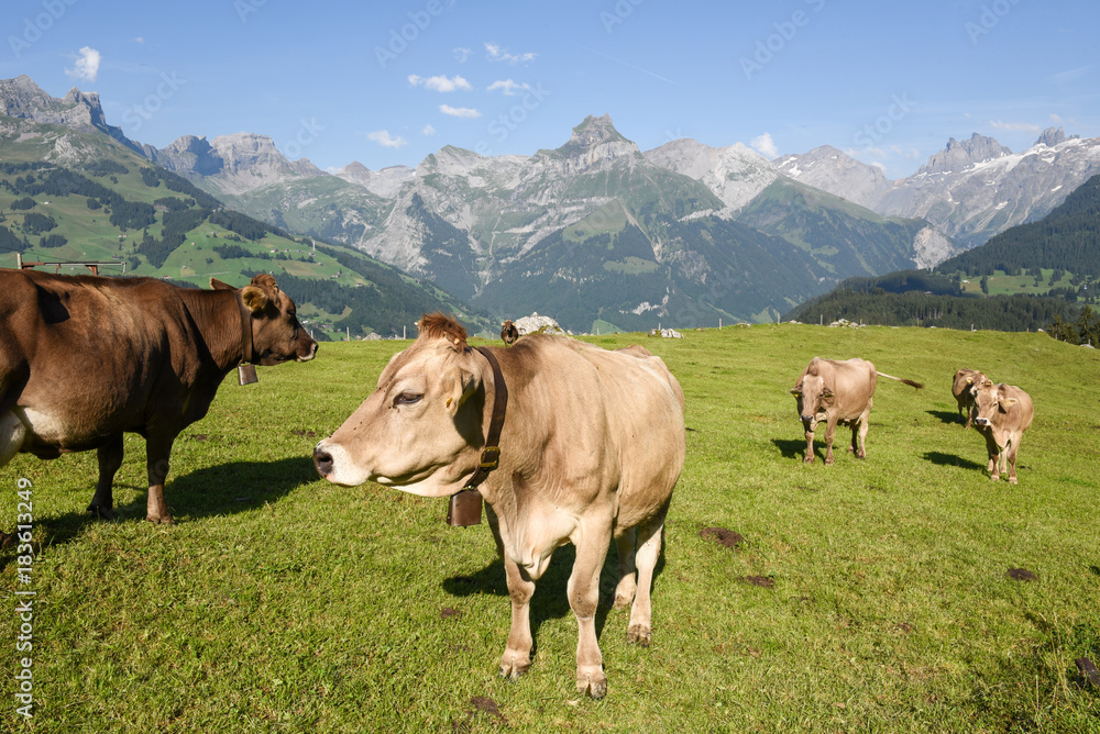 Rural landscape at the village of Engelberg on Switzerland Rural landscape at the village of Engelberg on Switzerland