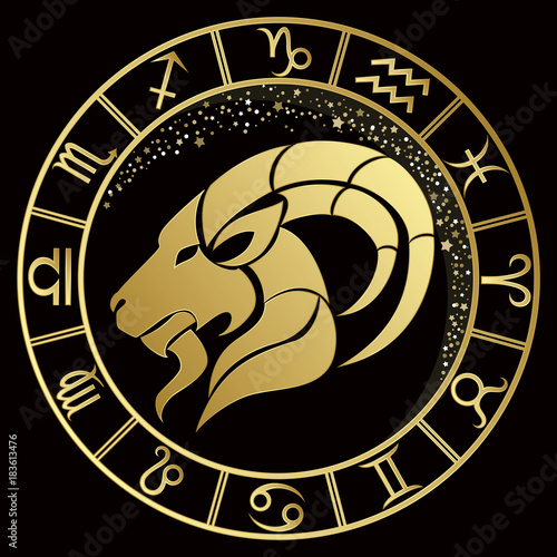 Capricorn zodiac sign on a dark background with round gold frame