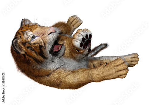 Fototapeta Naklejka Na Ścianę i Meble -  3D Rendering Big Cat Tiger on White