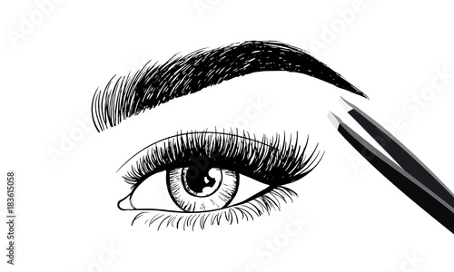 Valokuva Eyes with eyebrow and long eyelashes and tweezers to build