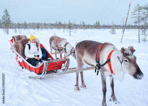 Girl riding Reindeer sledge in winter Rovaniemi