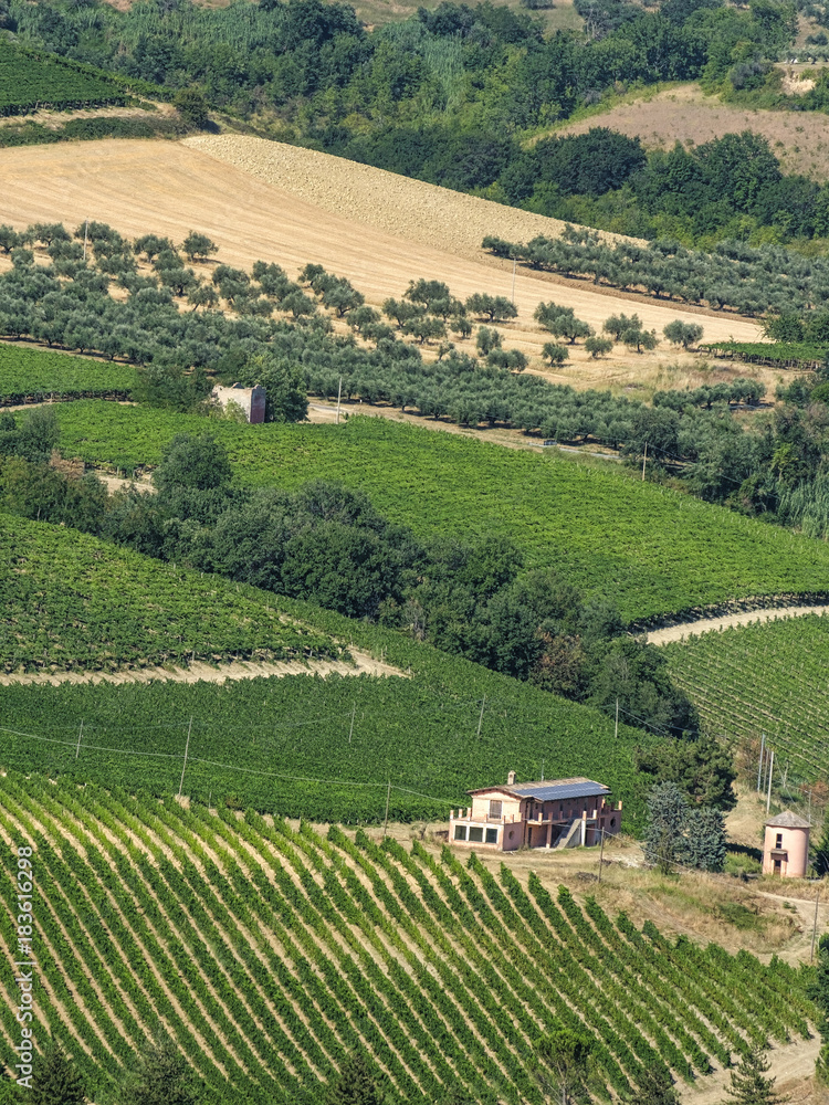 Landscape near Teramo (Abruzzi) at summer