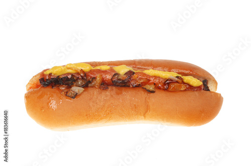 Hot dog isolated