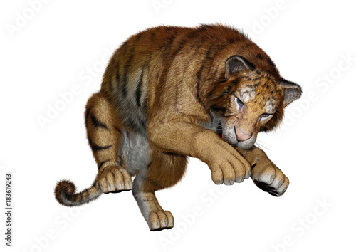 Fototapeta Naklejka Na Ścianę i Meble -  3D Rendering Big Cat Tiger on White