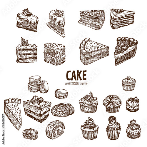 Digital vector detailed line art sliced cake