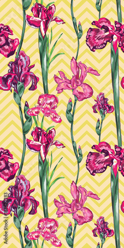 Fototapeta Naklejka Na Ścianę i Meble -  Pink Iris Vector Seamless Pattern