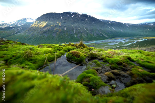 View of the valley. Northern Sweden, Sarek National Park photo