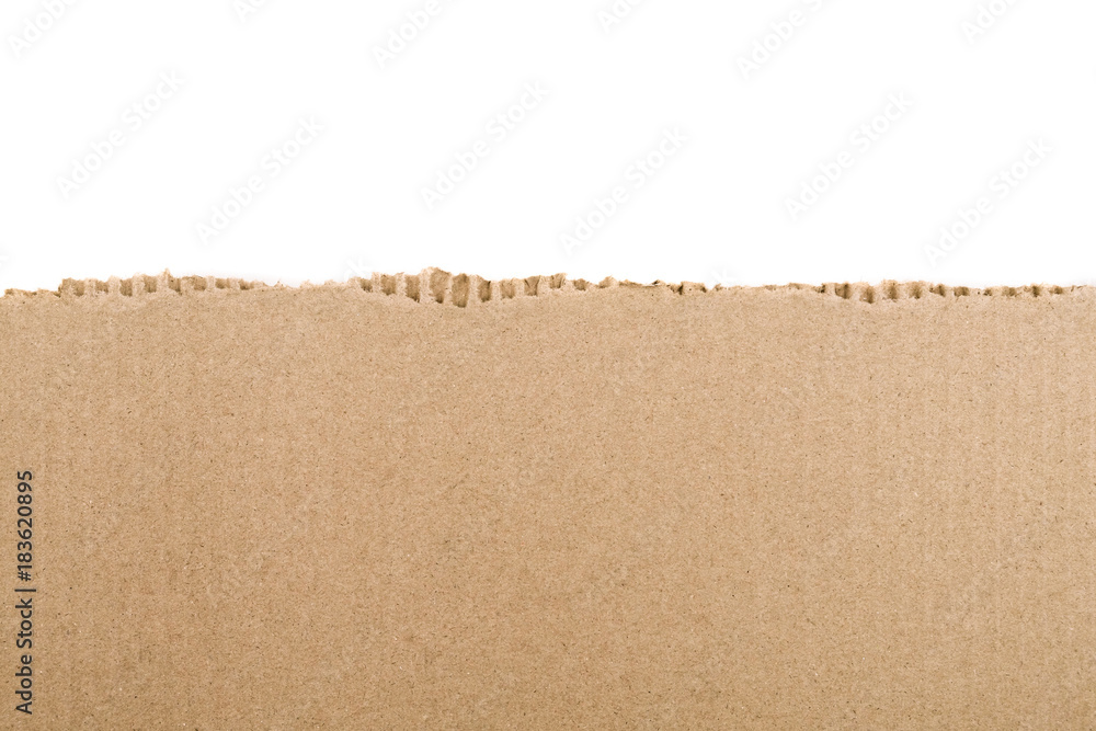 Torn cardboard Paper with space for text - obrazy, fototapety, plakaty 