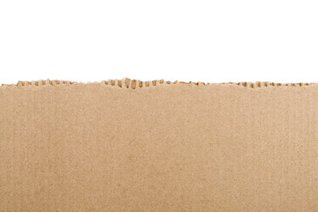 Torn cardboard Paper with space for text