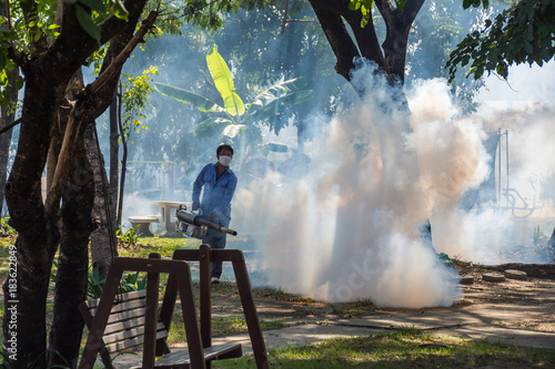 Fogging DDT spray mosquito kill for virus protect