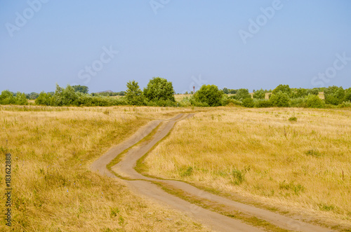 Path on the summer field with a forest on the background