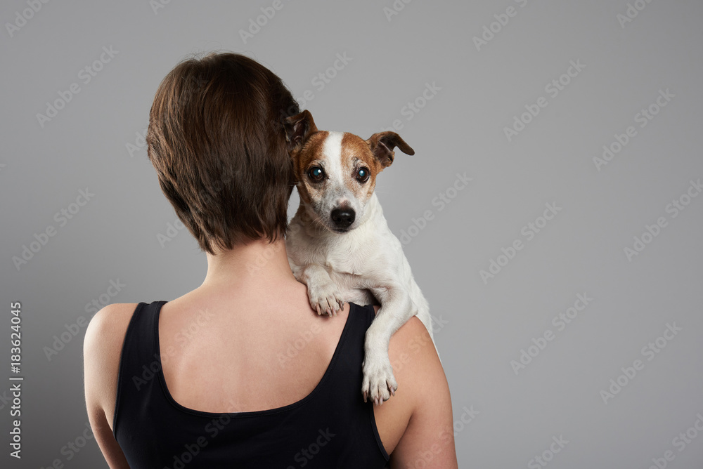 Jack russell terrier together with owner