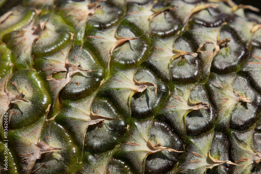 close up fresh green mix yellow Pineapple skin close up fresh green mix yellow Pineapple skin
