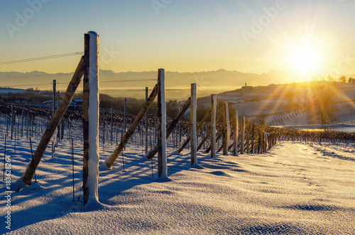 Vineyards of Barolo in the hills of Langhe, (Piedmont, Italy) at sunset. Countryside and rows covered by the snows of december photo