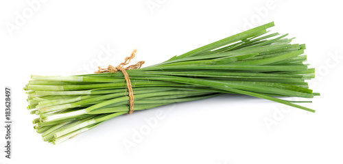 Garlic chives isolated on white background