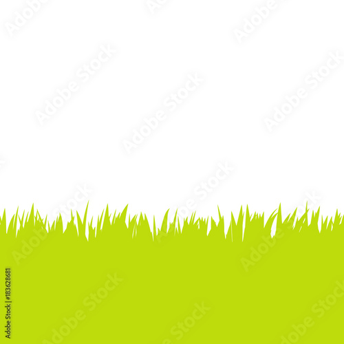 Card with green grass isolated on white background with empty space. Vector illustrator.