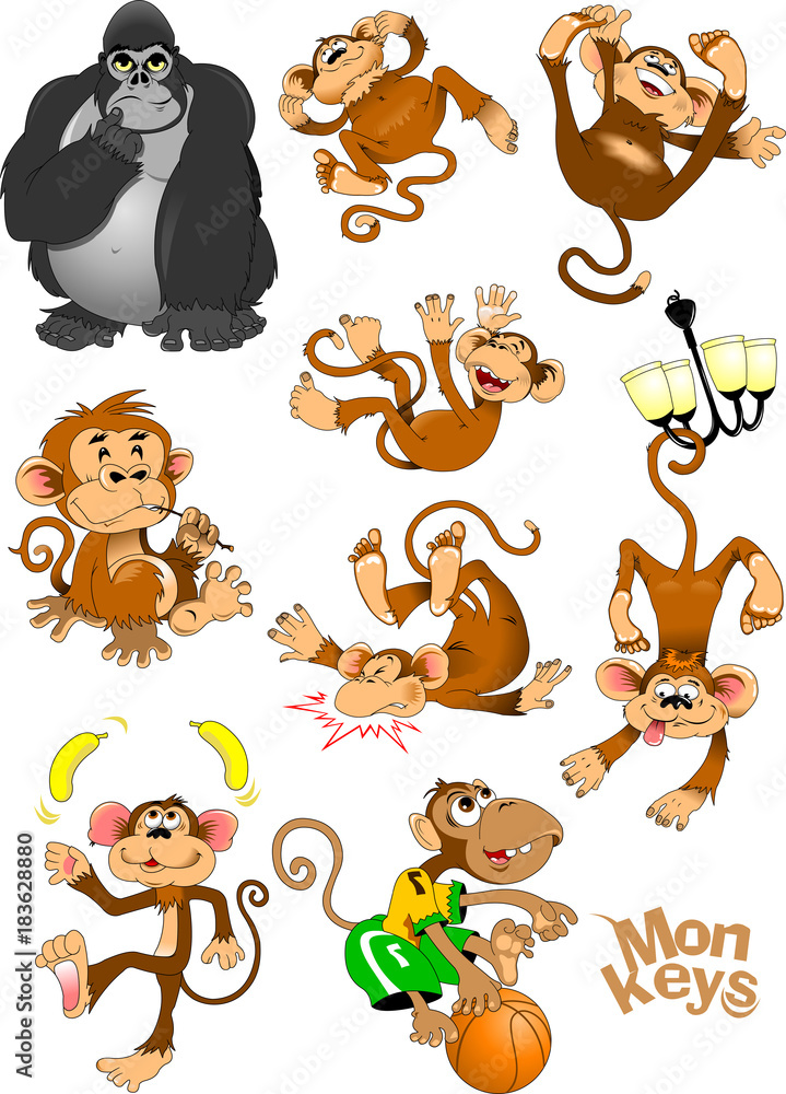 Obraz premium zbiór małp