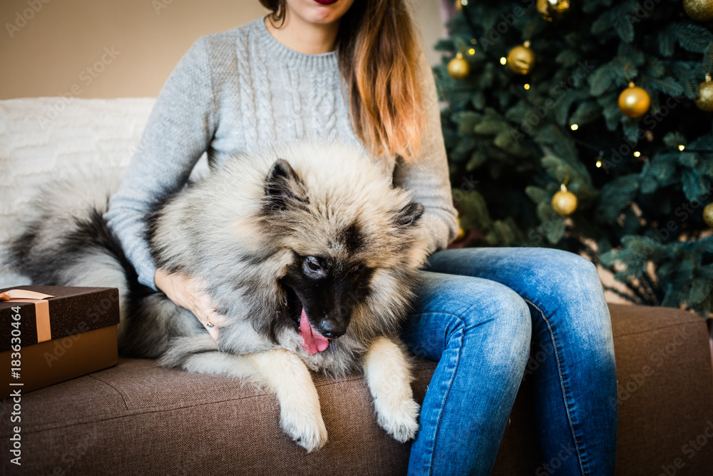 Woman and a dog sitting near the Christmas tree