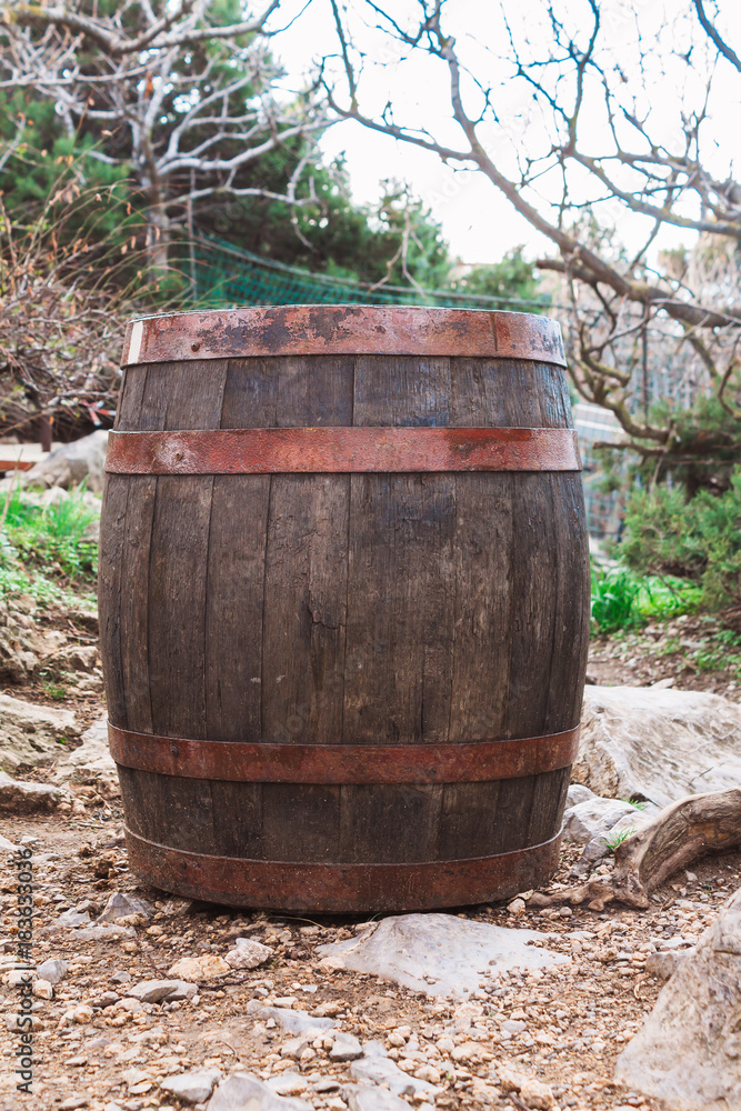 barrel, wine, Crimea, summer, walk, nature, water, herbs, trees, foliage, barrel, wine, Crimea, summer, walk, nature, water, herbs, trees, foliage,