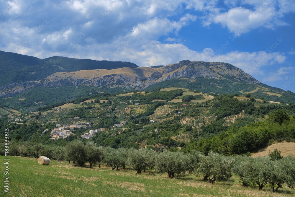Summer landscape in Abruzzi near Brittoli