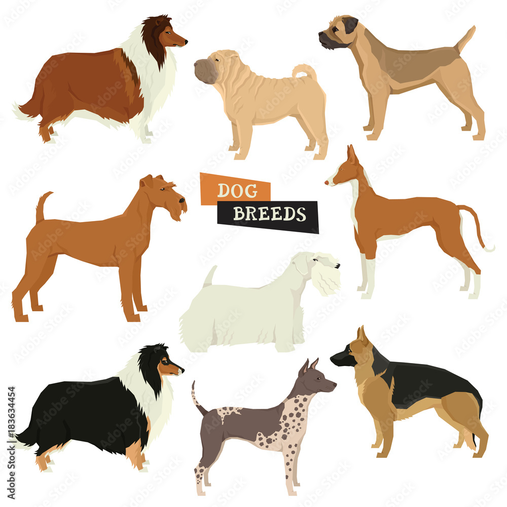 Dog collection Geometric style Vector set of 9 dog breeds Isolated objects