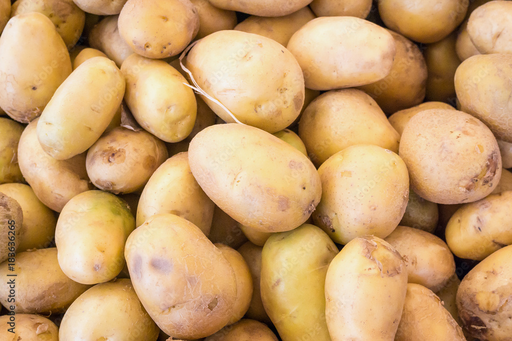 fresh organic potatoes on stand in supermarket fresh organic potatoes on stand in supermarket
