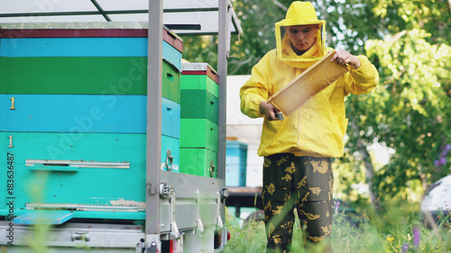 Young beekeeper man clean wooden honey frame working in the apiary on summer day