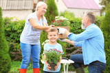 Little boy holding blooming plant while his grandparents working in garden