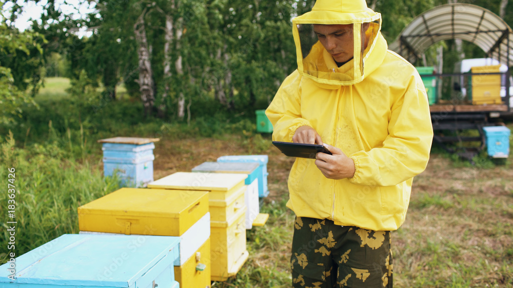Beekeeper man with tablet computer checking wooden beehives before harvesting honey in apiary Beekeeper man with tablet computer checking wooden beehives before harvesting honey in apiary