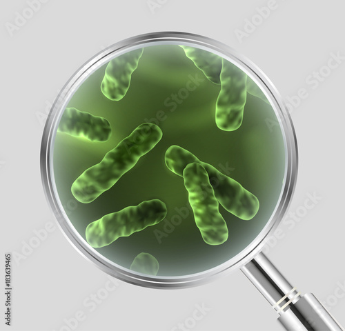 Vector realistic illustration of green bacteria cells under the magnifying glass isolated on grey background