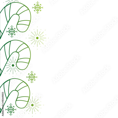 color line sweet walking stick and branches leaves background