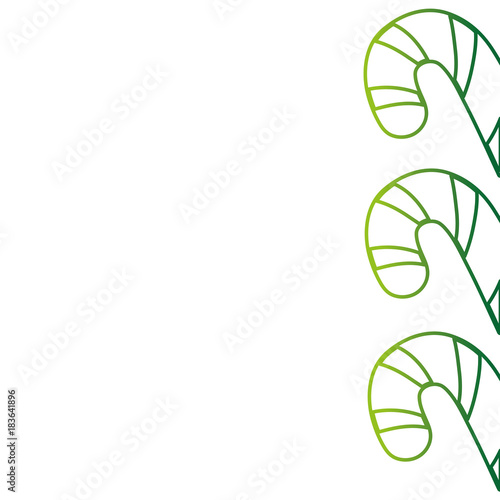 color line delicious sweet walking stick background