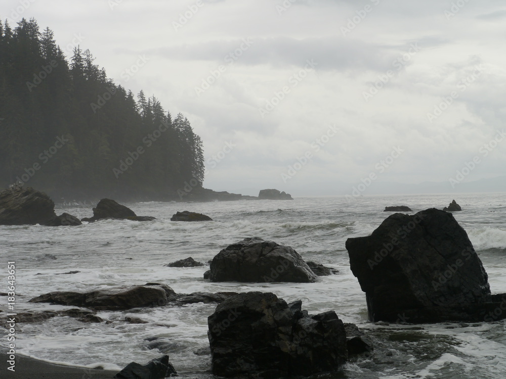 Obraz premium Vancouver Island