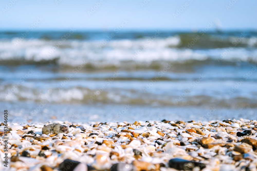 Sea coast, seashells, close-up, the sea is out of focus Sea coast, seashells, close-up, the sea is out of focus