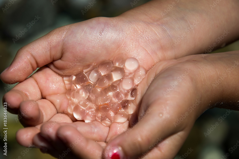 Naklejka premium a hand full of small jellyfish